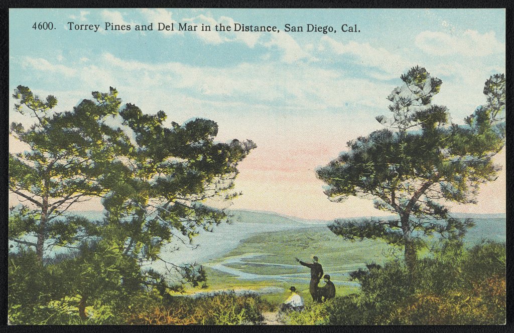 Color postcard looking north from Torrey Pines over the San Dieguito river valley toward Del Mar, published between 1908 and 1928