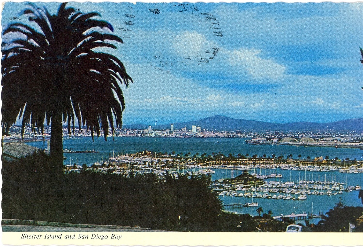 A color postcard view from Point Loma over a palm tree to Shelter Island, its marinas full of boats, San Diego Bay and the downtown skyline beyond