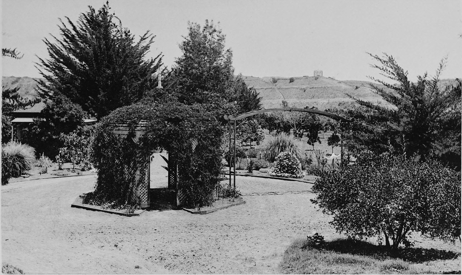 A garden with a vine covered arbor arch in the middle of a gravel drive, shrubs and young trees around it, a bare hill behind