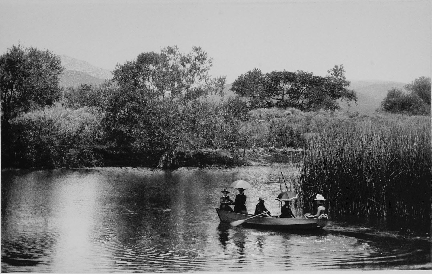 A small lake with reeds and willows along the far bank, two rowing boats of people with parasols on the water