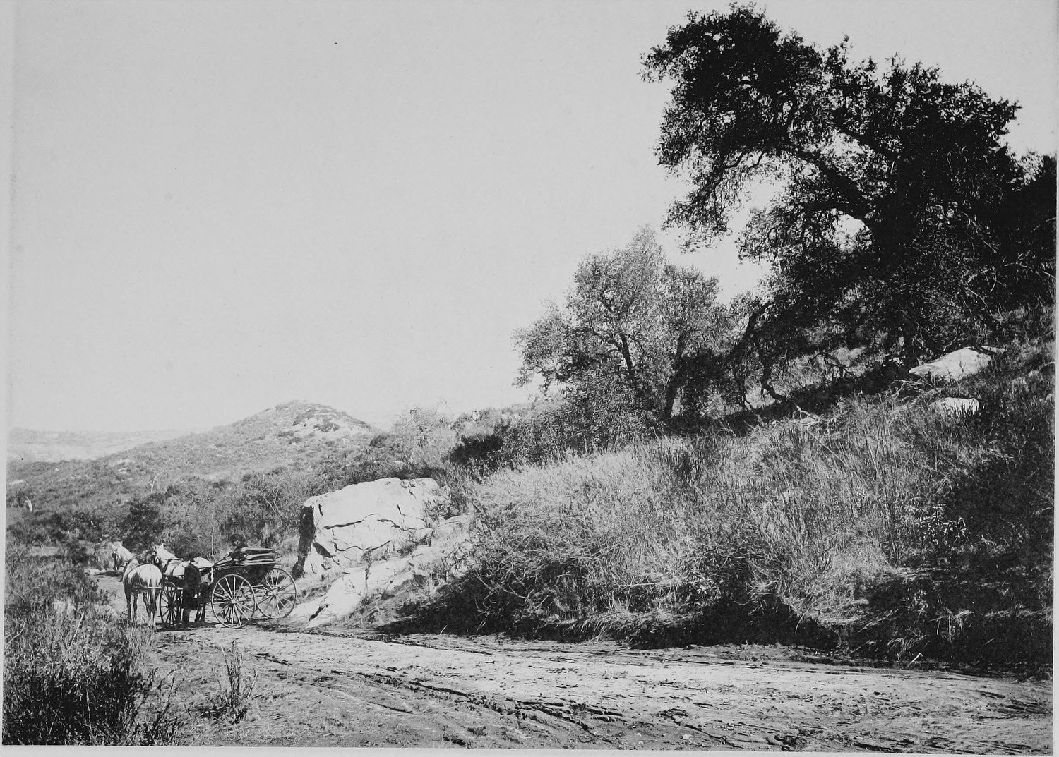 A dirt road coming around a hillside with a horse and wagon on it, oaks and dry brush above, a valley beyond