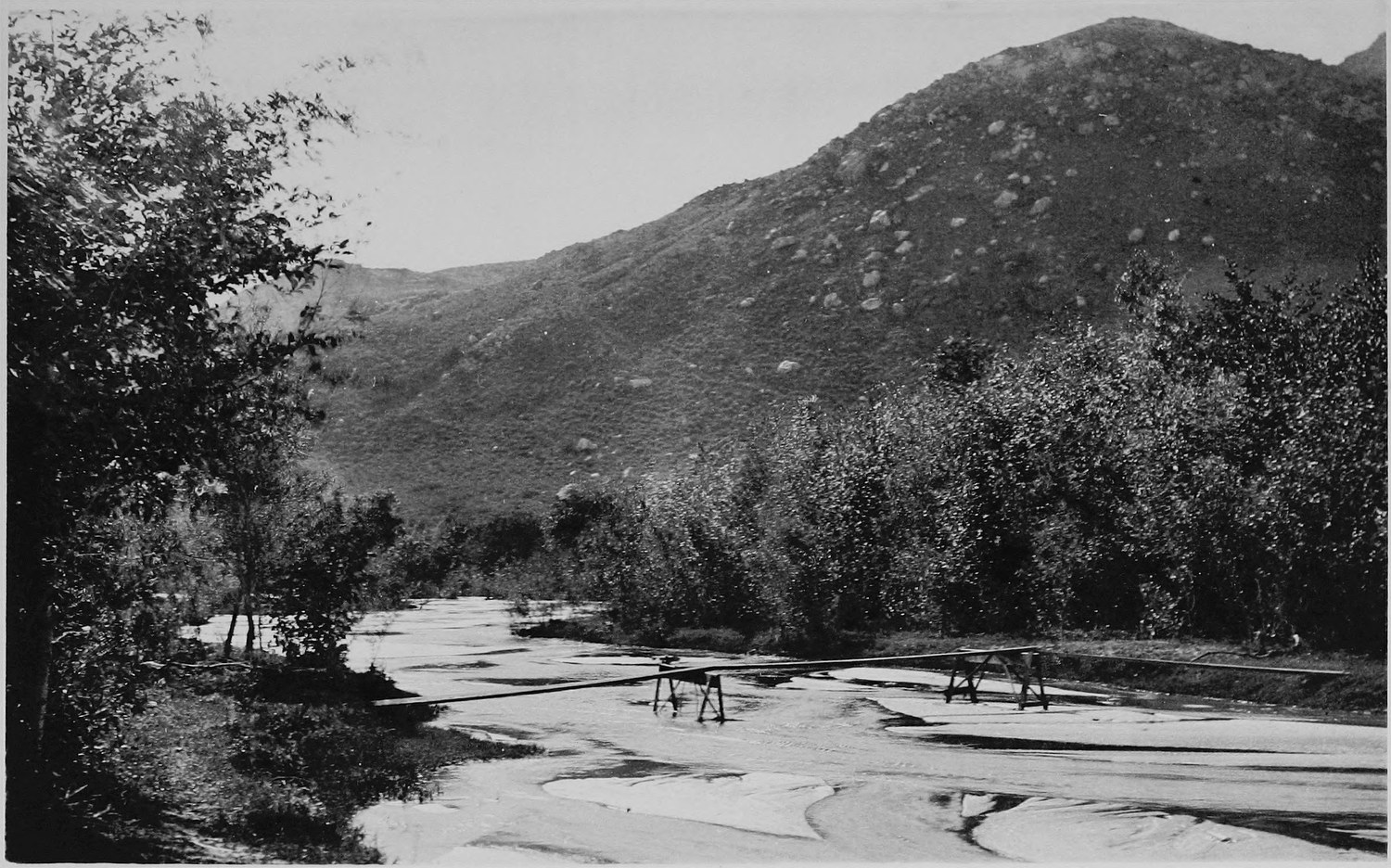A wide shallow river running over a sandy bed between willow thickets, a bare rounded hill behind