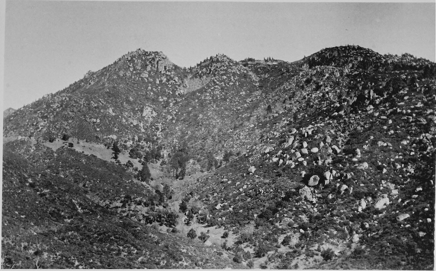 A steep hillside covered in loose boulders and low brush rising to a rocky crest