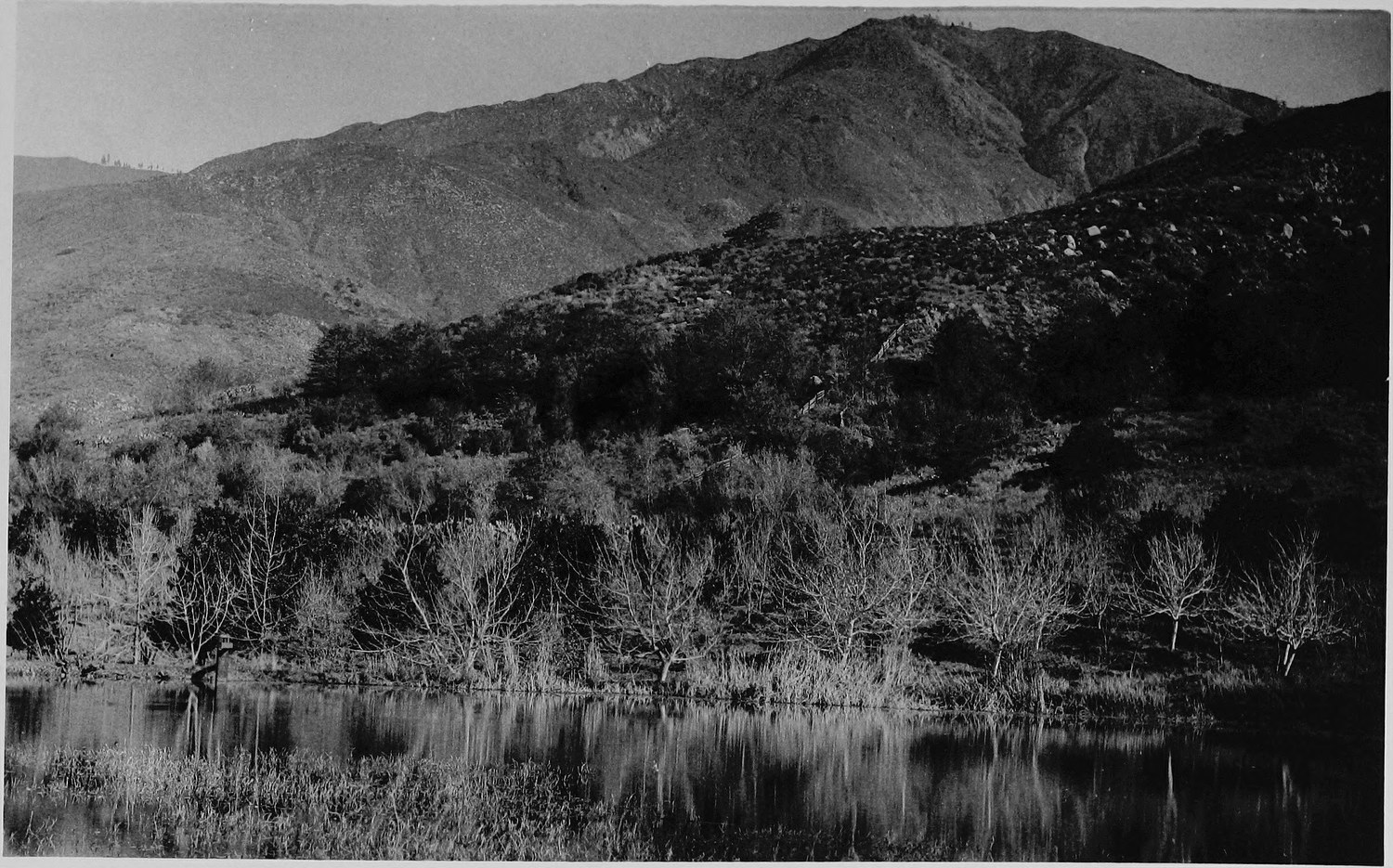 A still pond reflecting bare trees along its edge, a brush covered hillside and mountains behind