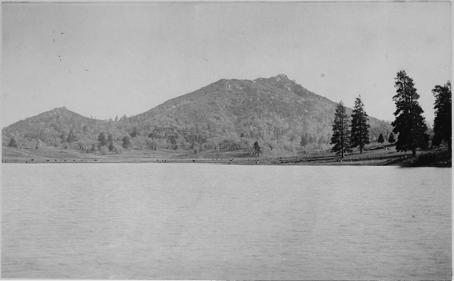 A wide lake with a wooded far shore and a rocky peak rising beyond it, tall pines at the right
