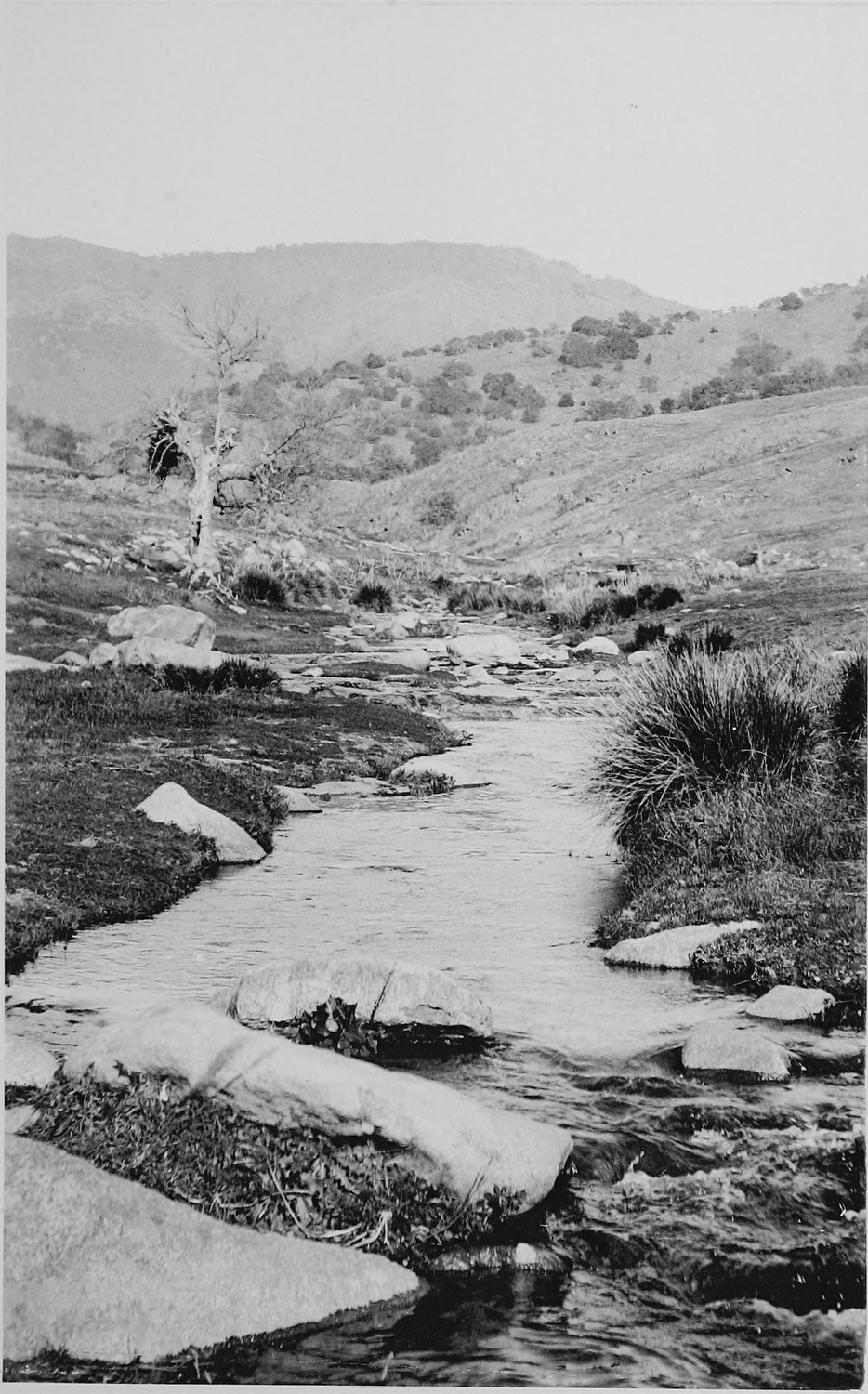 A creek winding through a wide open valley, low scrub in the foreground and rounded hills beyond