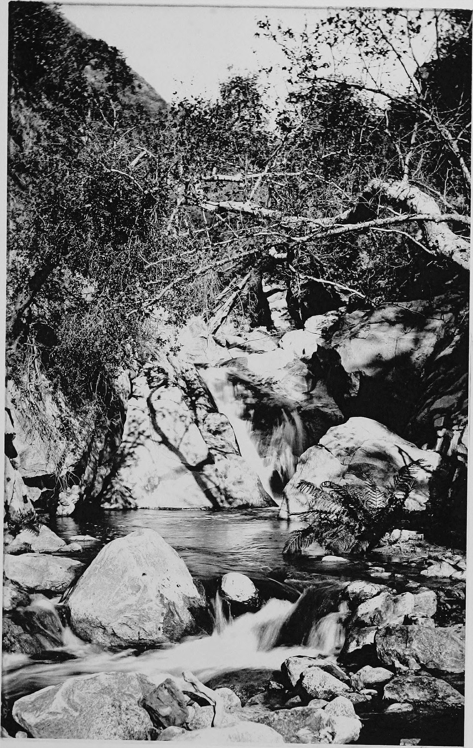 Water falling through a jumble of large boulders in a narrow wooded ravine