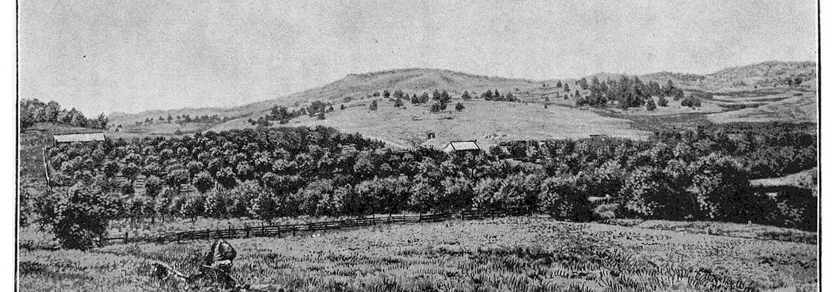A mountain ranch in the San Diego County backcountry