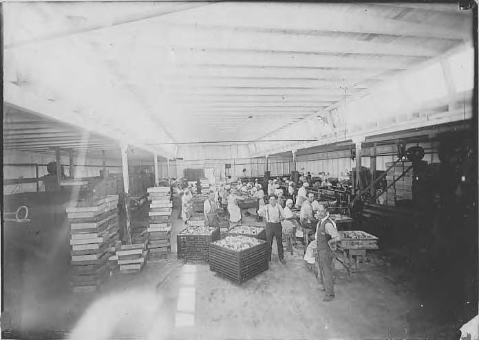 Workers inside a San Diego seafood processing building loading carts with canned product, around 1918
