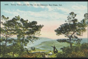 A tinted postcard of twisted pine trees on a headland above a lagoon and beach, a coastline and small town in the distance